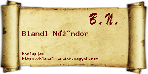 Blandl Nándor névjegykártya